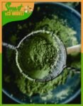 Wasabi en Polvo x 100 grs.